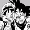 gokuluffy_luffygoku_