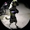 joelafc1
