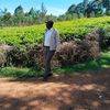michaelnjimu