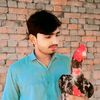 ali.hassan168jutt