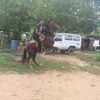alfonso_hereira