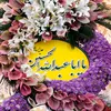 aya.hazim