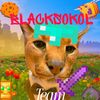 black.sokol_team