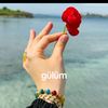 filiz3391