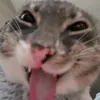 hola.._