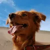 uruhehhrjje