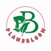 plan2bloom