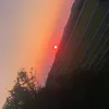 torey_mls_xx