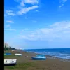 narintara71