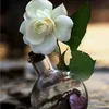dayke.rahand
