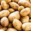 the_great_potato_man