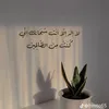 9977noor97