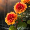 khadija.ka16