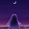 tulipan_13_flores