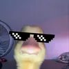 kinggpayda