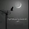 user31119069627437