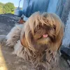 eueamel_