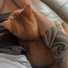 josh6_888