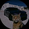luis73502