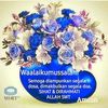 suhaimiariffin20