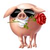 balduy27