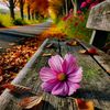 nabonita.chowdhury