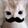 missmopo_hinditaepo