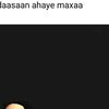 maan_426