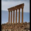 abbas.rida