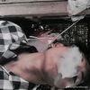 grim.reaper175
