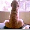 yandi6588