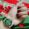 alihamza88613