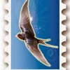 achimarikamu0119