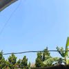 athayami_19