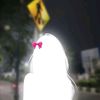 tshhaa_