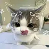 sajiii_555