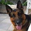 jacqueline.descam6