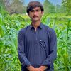 saifullahkhan8562