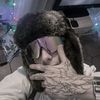 haizewise_6
