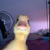 john_declover
