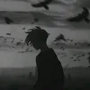 little_shadow1235