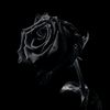 httpschat.whatsap23
