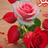 user9268194672391