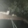 useruu_838376