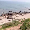 ngulaudotben.37