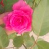 user8130397197937