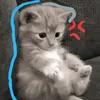 ngoccmyy0913
