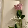 somaarot