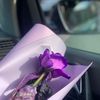 zahraa.mohammed998