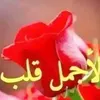 user4085290029045
